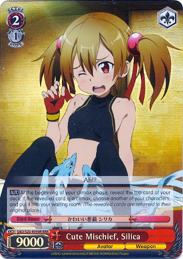 Weiss Schwarz Sword Art Online 10th SAO/S71-056 RR Aincrad Silica Kirito  Holo