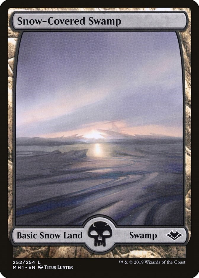 Coldsnap 33x Available Magic the Gathering MTG 1x Snow-Covered Swamp x1 LP/LP 