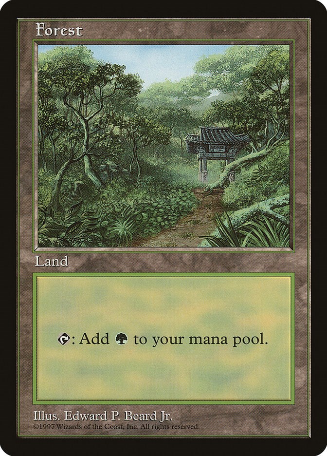 Forest - Clear Pack (Beard, Jr.) - APAC Lands - Magic: The Gathering