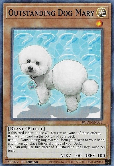 Outstanding Dog Mary Burst Of Destiny YuGiOh