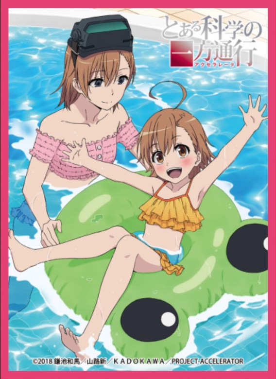 Chara Sleeve Collection Matte Series No.MT1045: Toaru Kagaku no