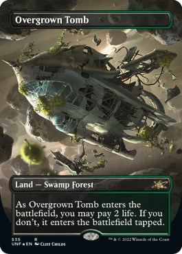 Overgrown Tomb (Borderless) (Galaxy Foil) - Unfinity - Magic: The