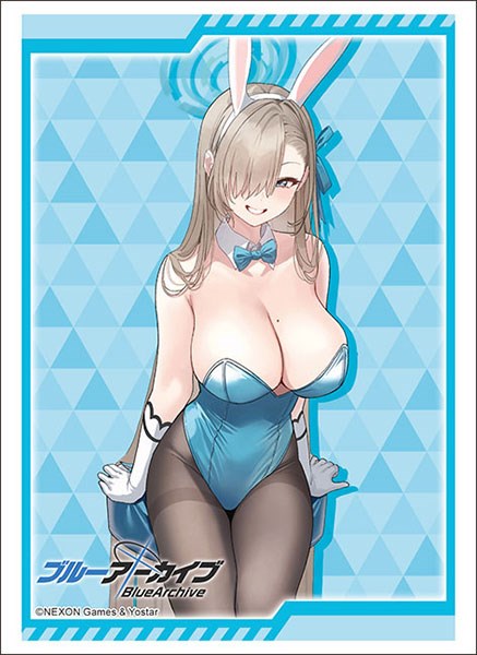 Bushiroad Sleeve Collection High Grade Vol.1028 - Anime Card Sleeves, Japanese Import