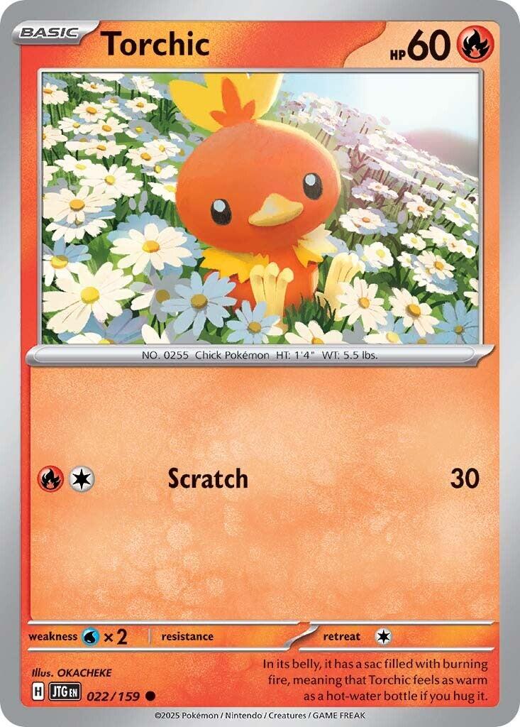 Torchic card artwork