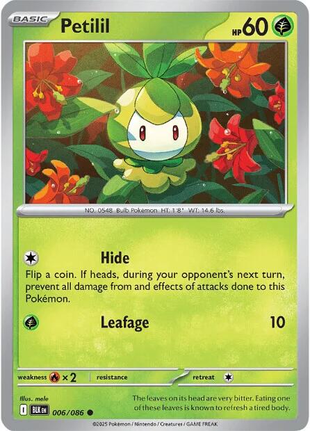 Petilil card artwork