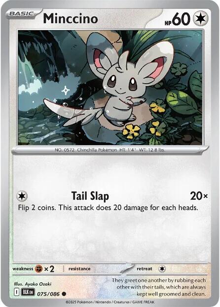 Minccino card artwork