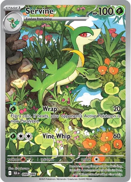Servine card artwork