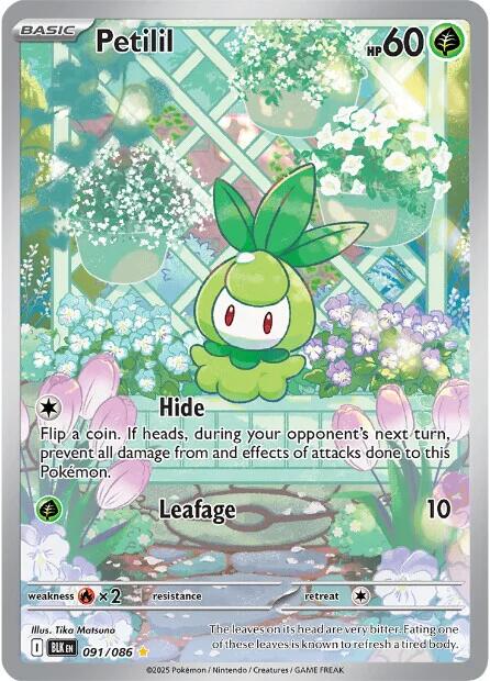 Petilil card artwork