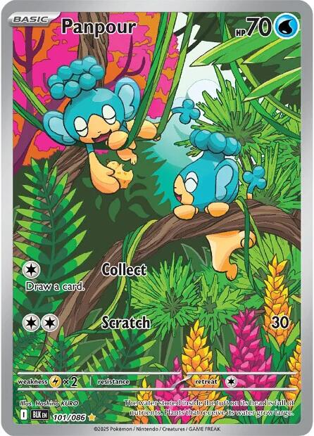 Panpour card artwork