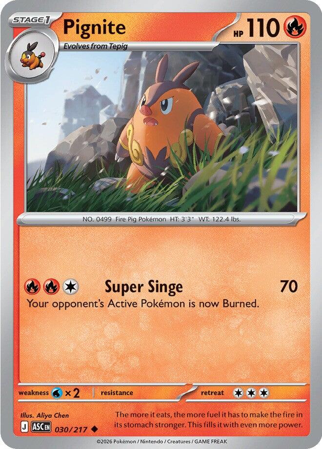 Pignite card artwork