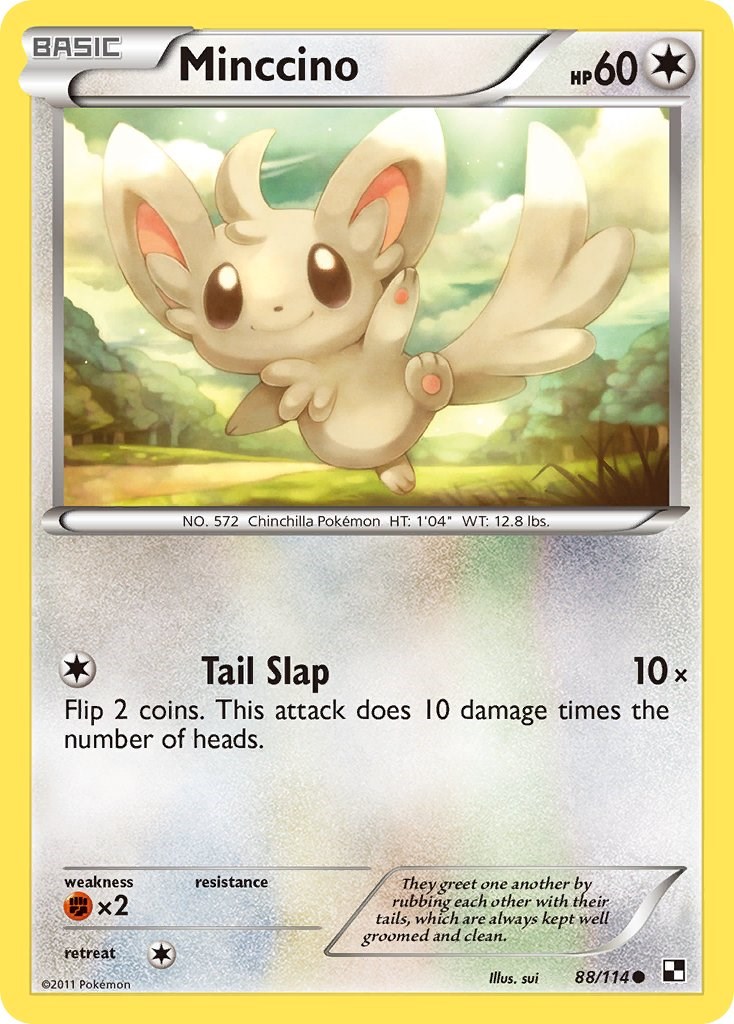 Minccino Black And White Pokemon