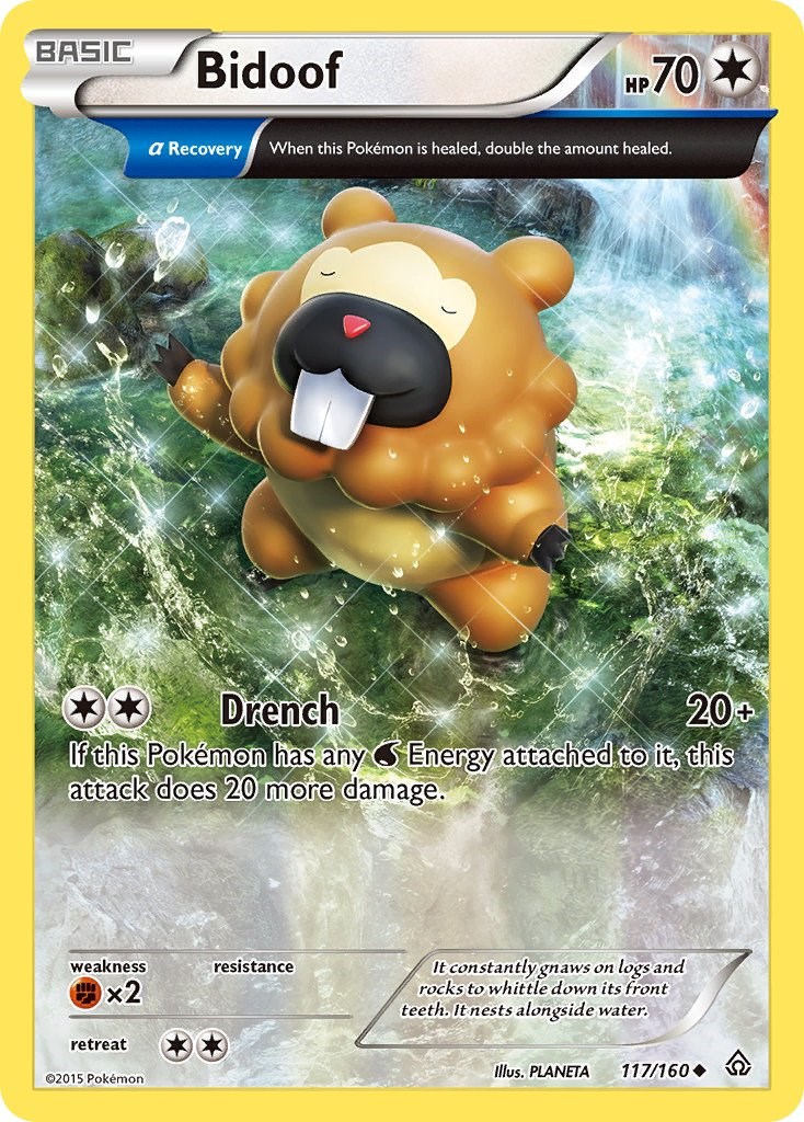 Bidoof (Alpha) XY Primal Clash Pokemon