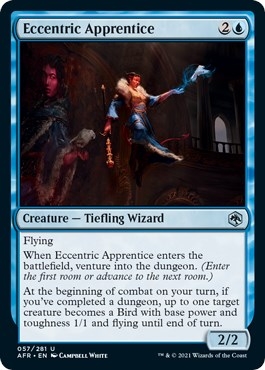 Eccentric Apprentice [Dungeons & Dragons: Adventures in the Forgotten Realms]