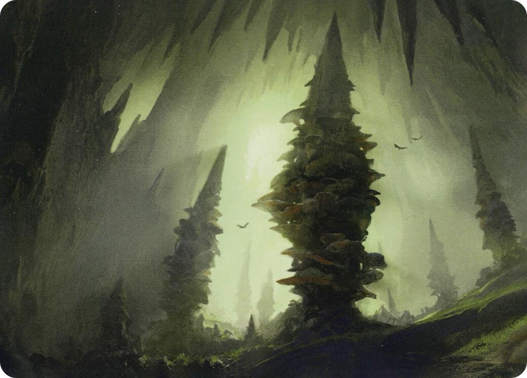 Forest (280) Art Card [Dungeons & Dragons: Adventures in the Forgotten Realms Art Series]