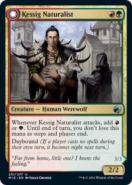 Kessig Naturalist // Lord of the Ulvenwald [Innistrad: Midnight Hunt]