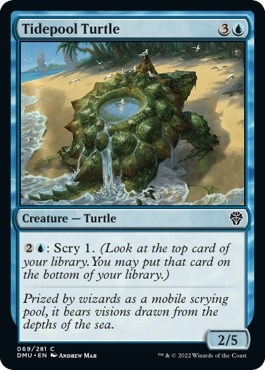 Tidepool Turtle [Dominaria United]