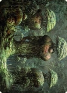 Forest Art Card [Dominaria United Art Series]