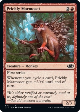 Prickly Marmoset (580) (J22)