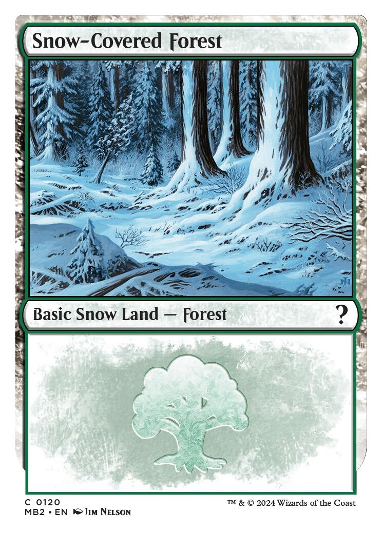 Snow-Covered Forest (White Border)