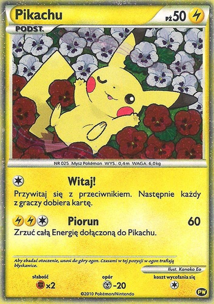 Pikachu — Pikachu World Collection Promos #PW 8