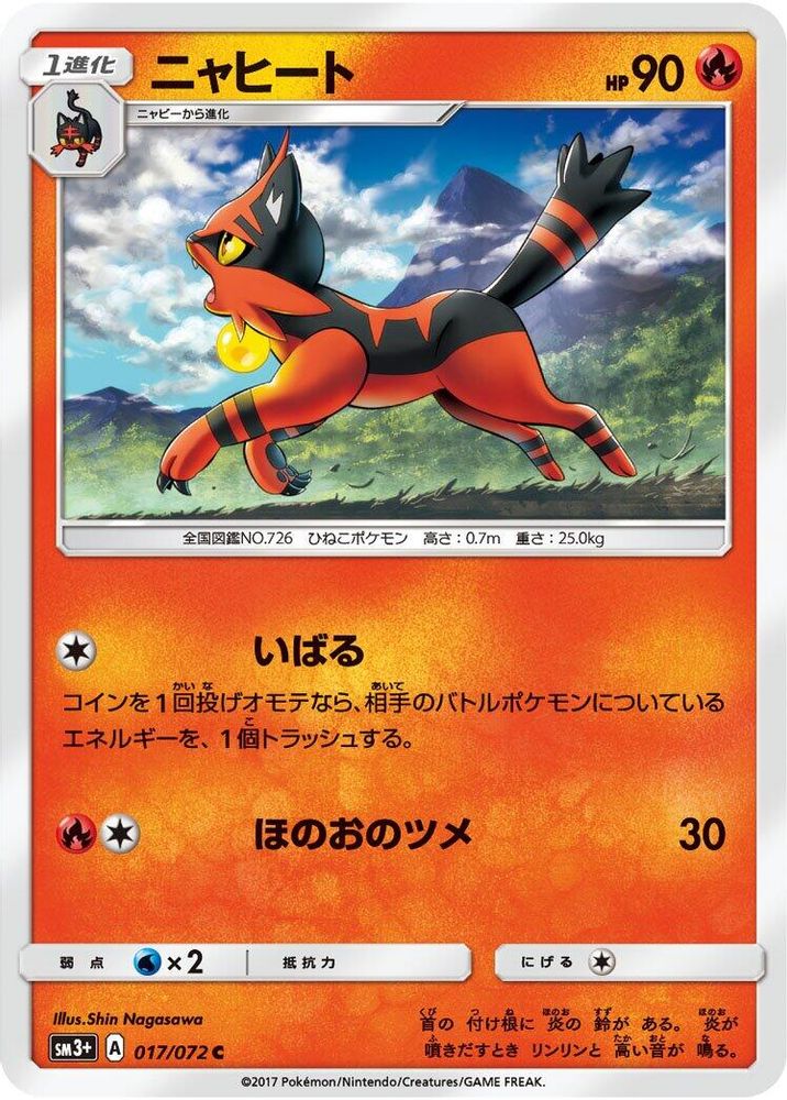 Torracat