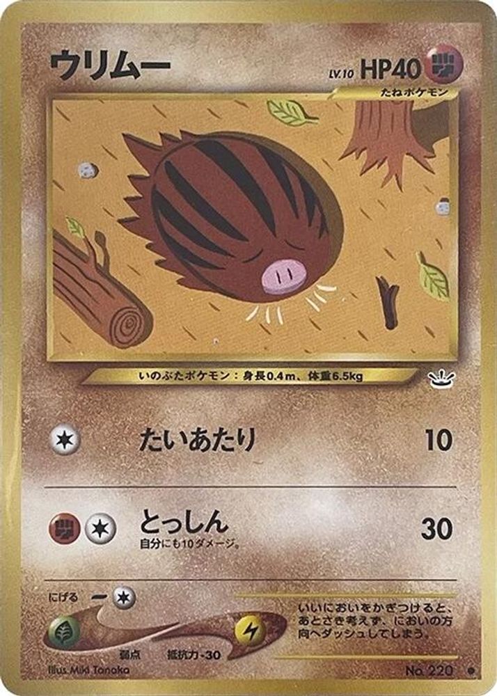 swinub