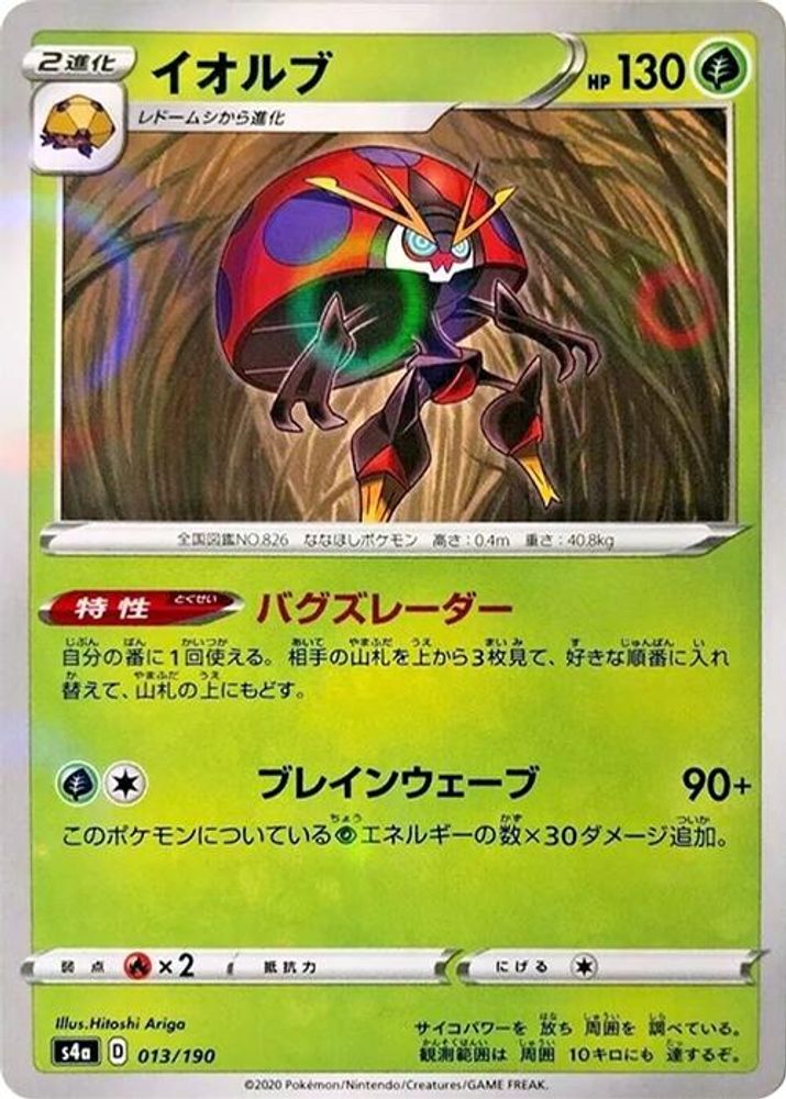 Orbeetle
