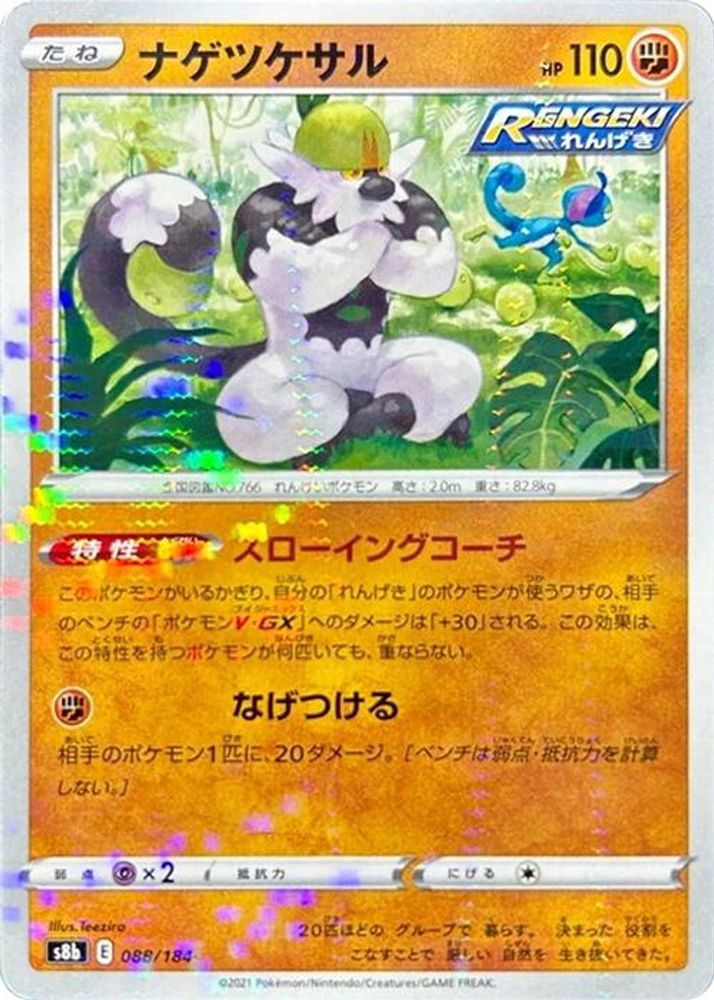 Passimian