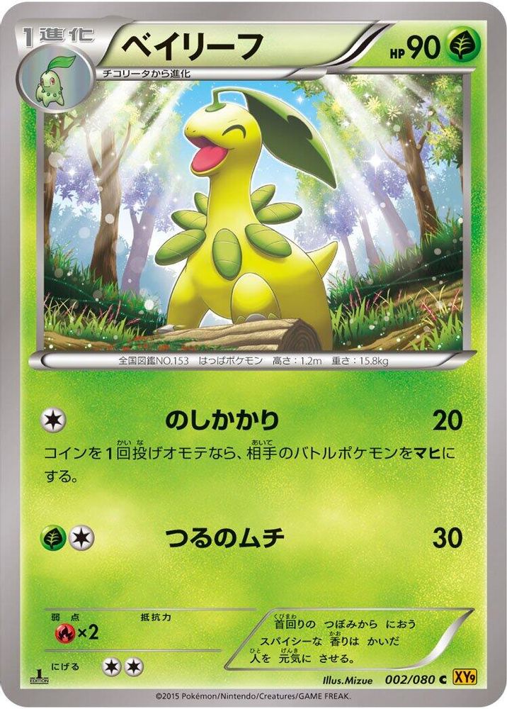 Bayleef