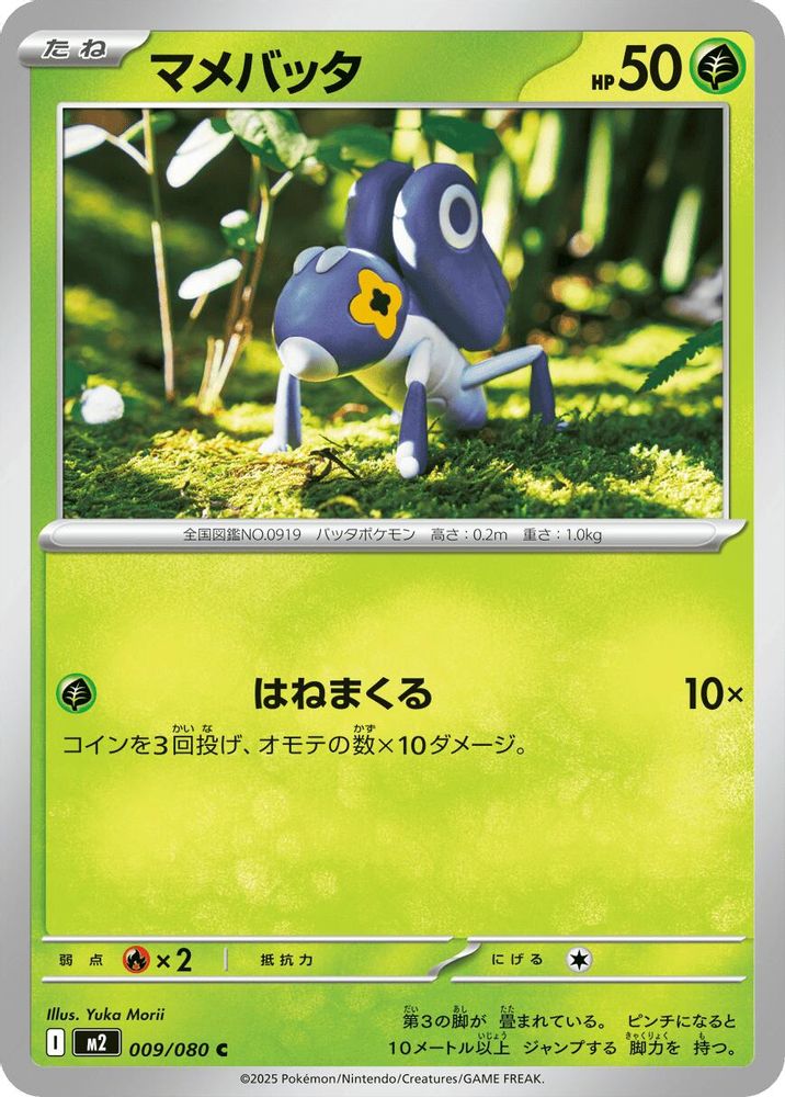 マメバッタ