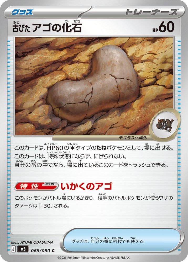 古びたアゴの化石