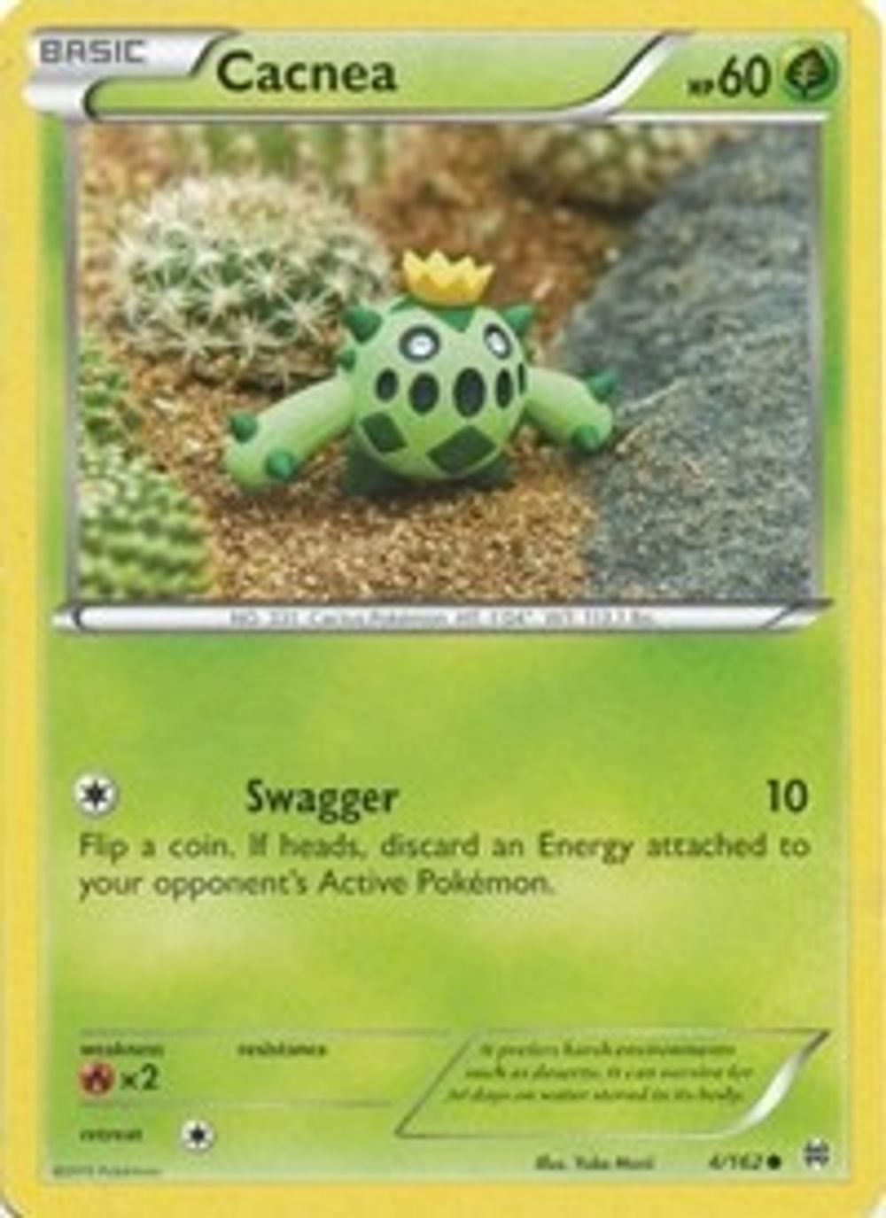 Cacnea — XY - BREAKthrough