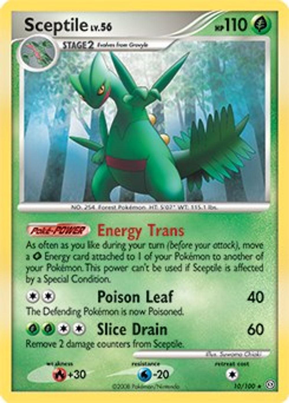 Sceptile - 10/100 (DP Stormfront) — Deck Exclusives
