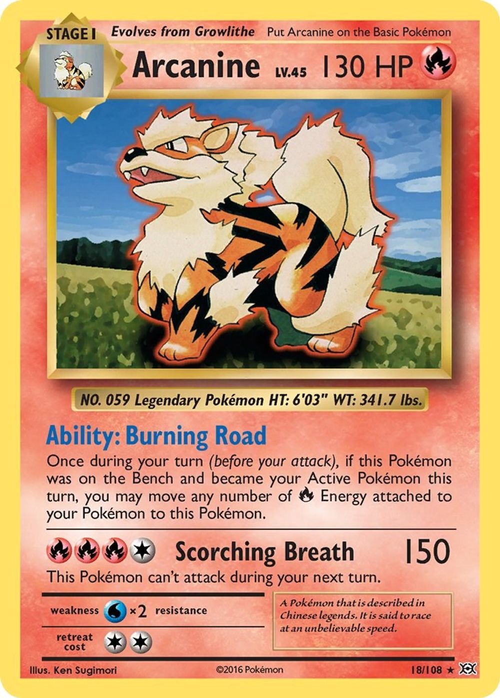 Arcanine — XY - Evolutions