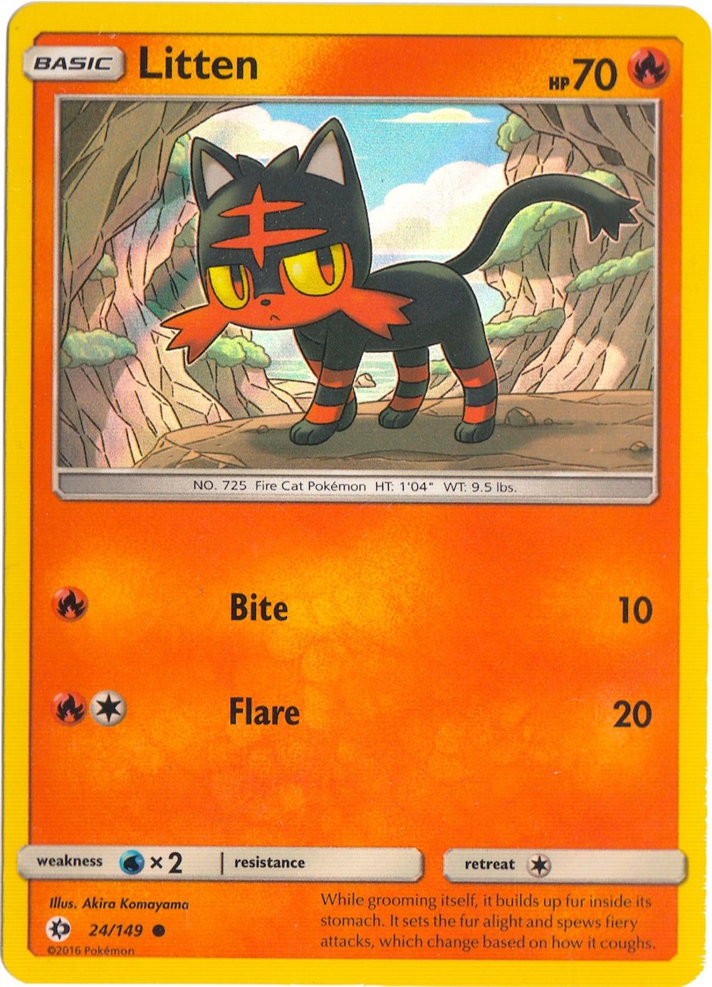 Litten - 24/149 (Water Web Holo) — Miscellaneous Cards & Products