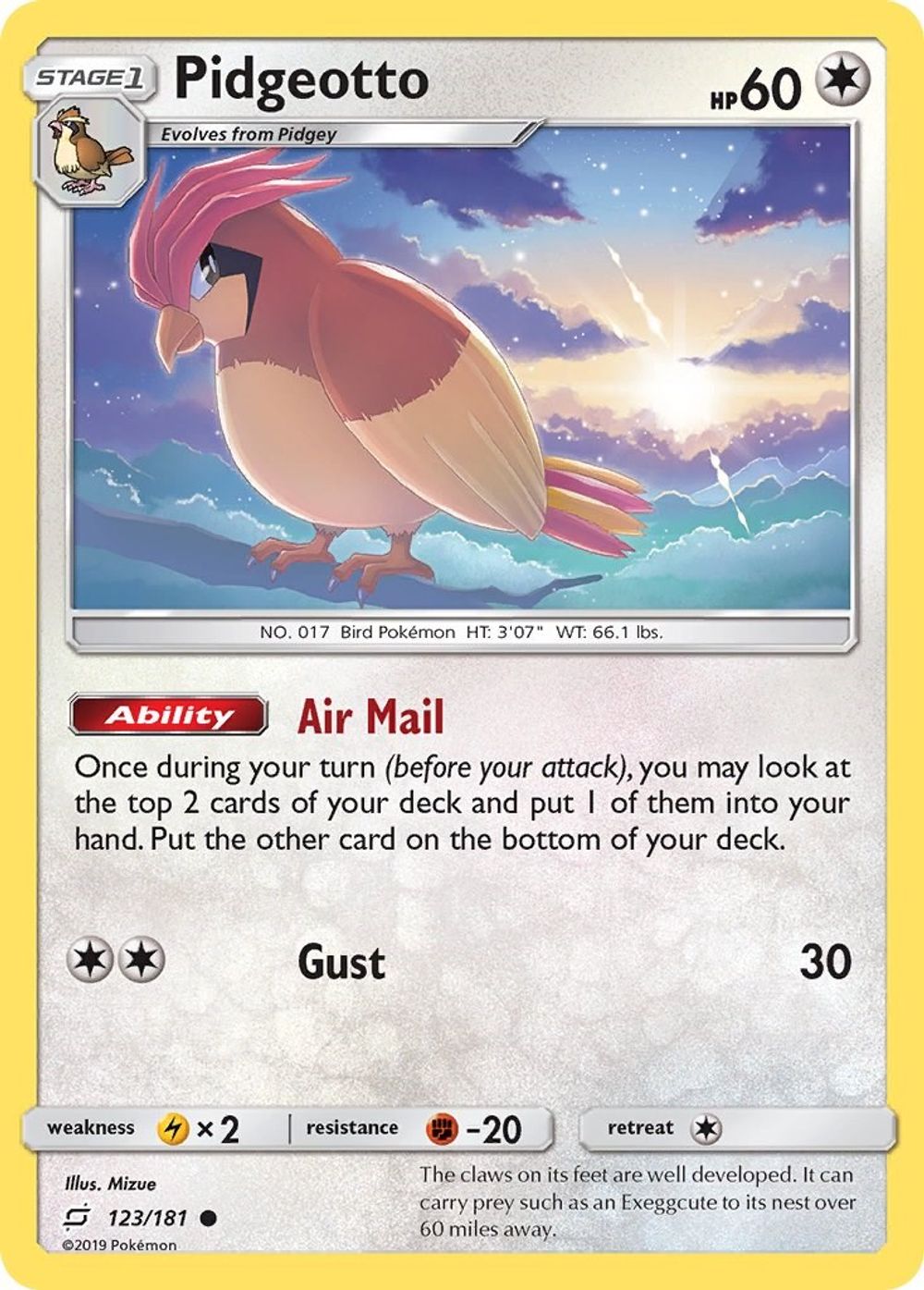 Pidgeotto — SM - Team Up