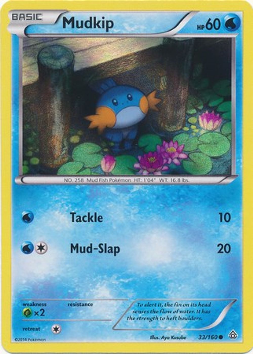Mudkip - 33/160 (Sheen Holo) — Miscellaneous Cards & Products