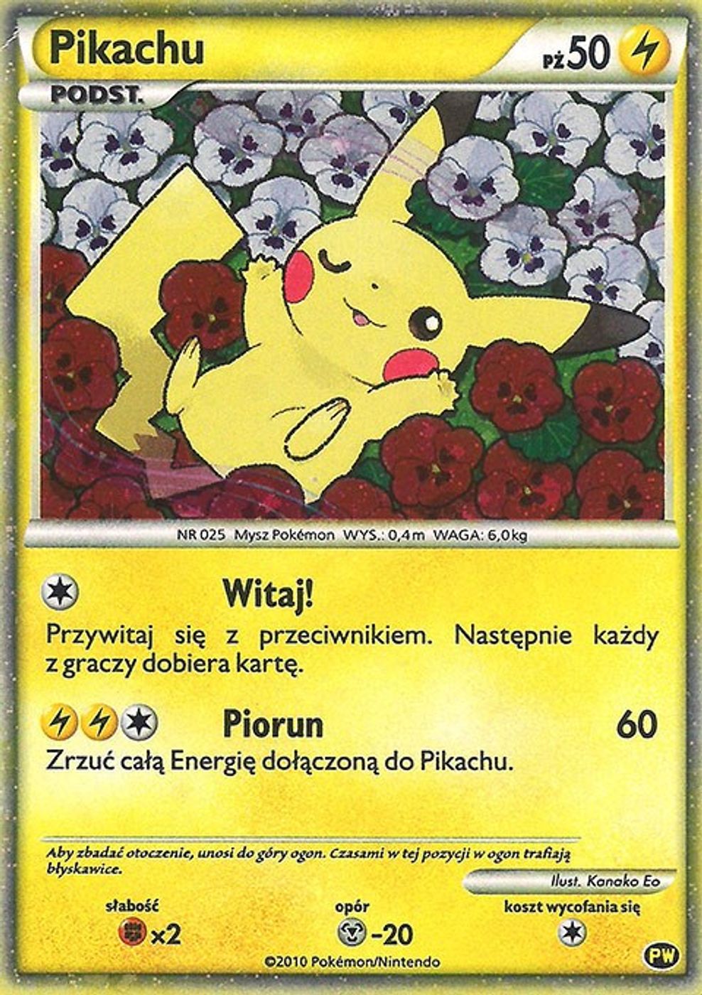 Pikachu (Polish) — Pikachu World Collection Promos