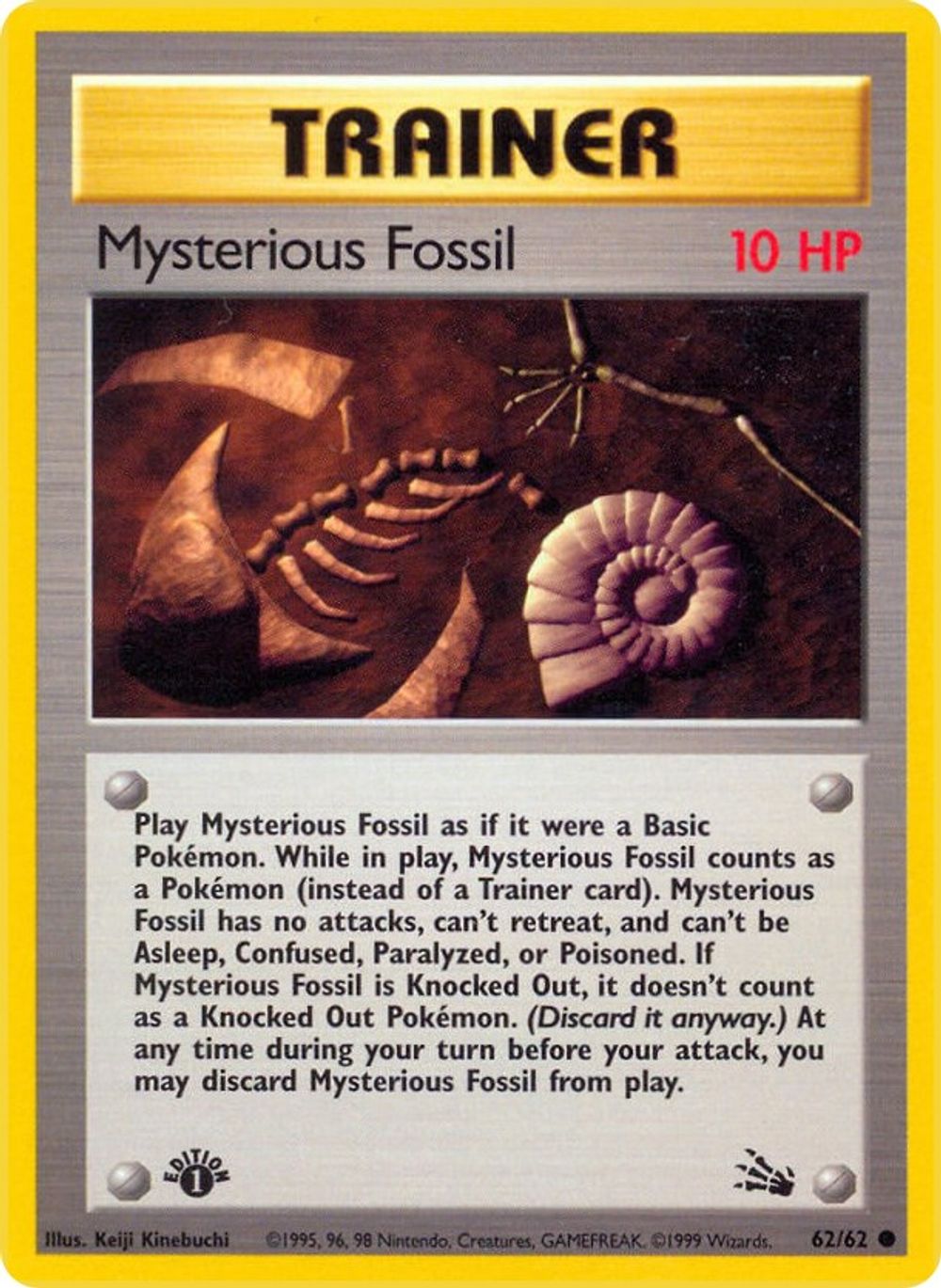 Mysterious Fossil — Fossil