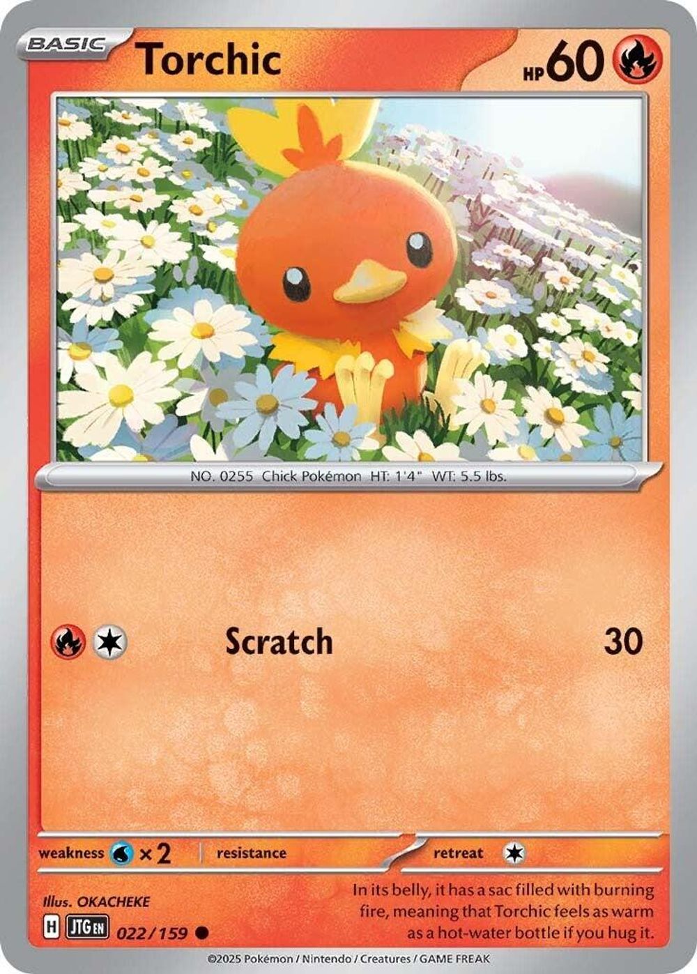 Torchic — SV09: Journey Together