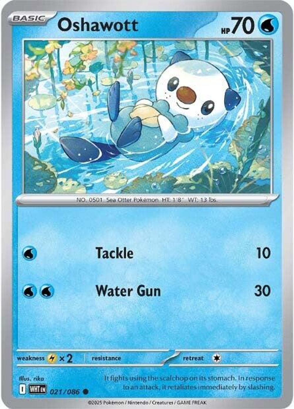 Oshawott — SV: White Flare