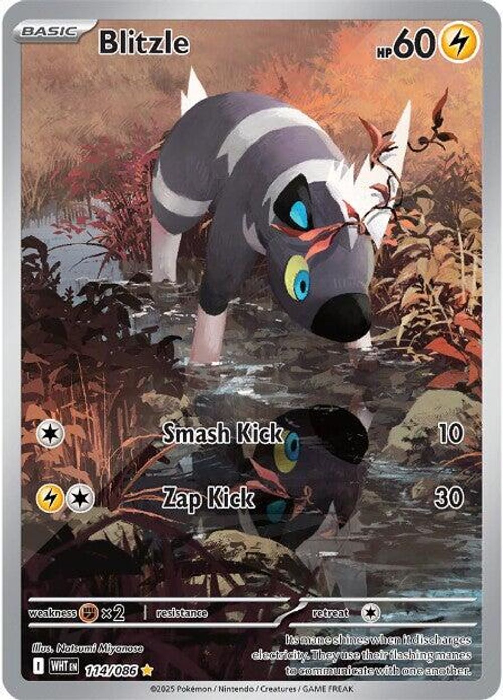 Blitzle - 114/086 — SV: White Flare