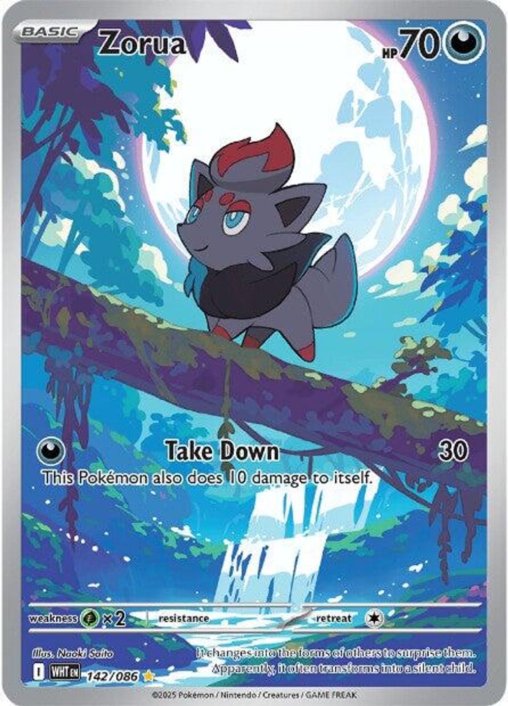 Zorua - 142/086 — SV: White Flare