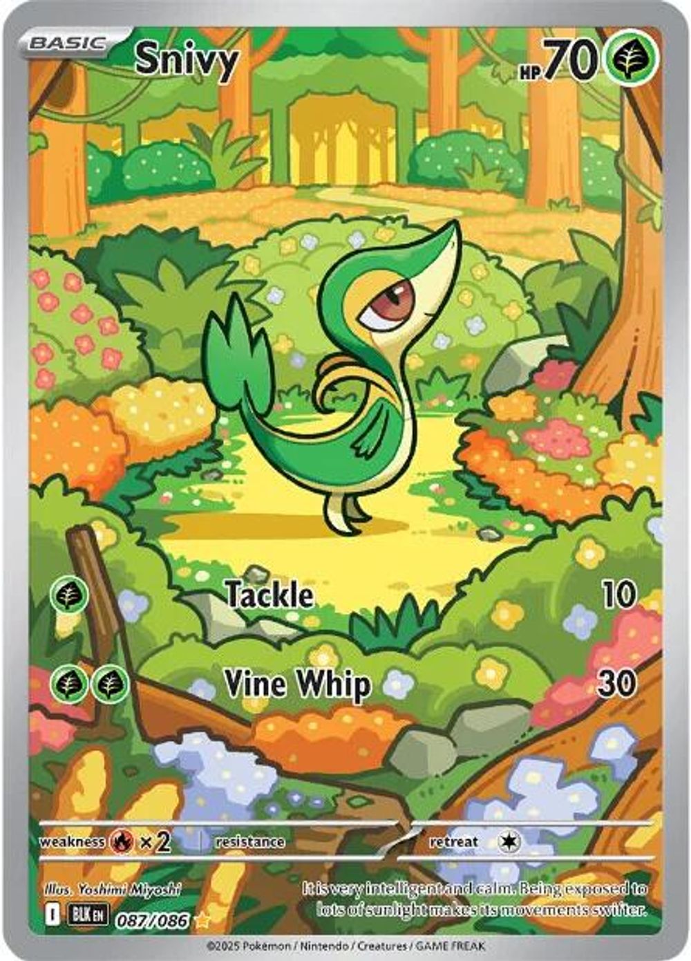 Snivy - 087/086 — SV: Black Bolt