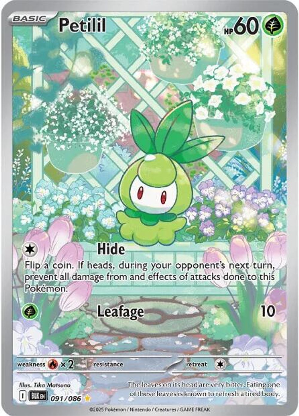 Petilil - 091/086 — SV: Black Bolt