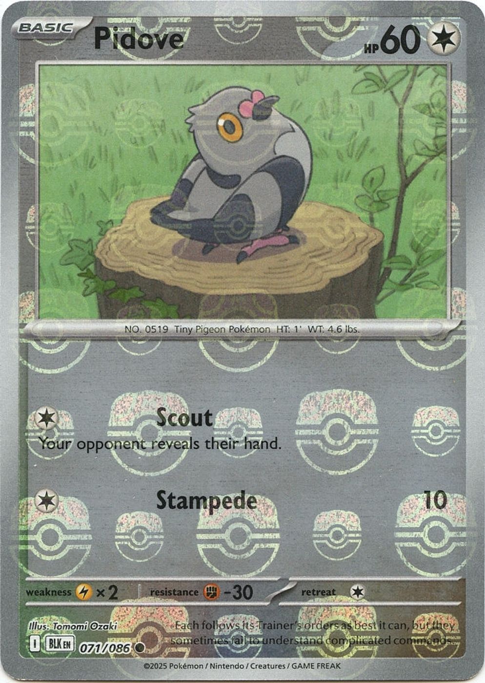 Pidove (Master Ball Pattern) — SV: Black Bolt