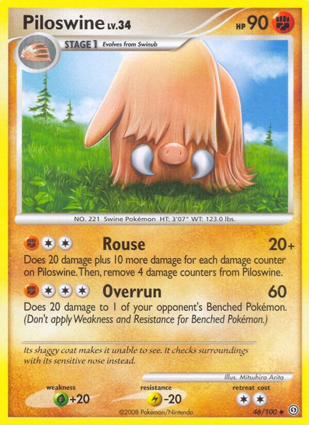 Piloswine — Stormfront