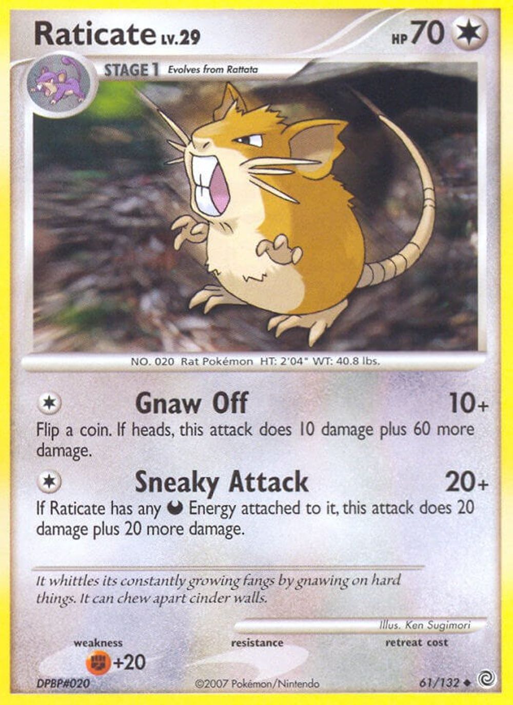 Raticate — Secret Wonders