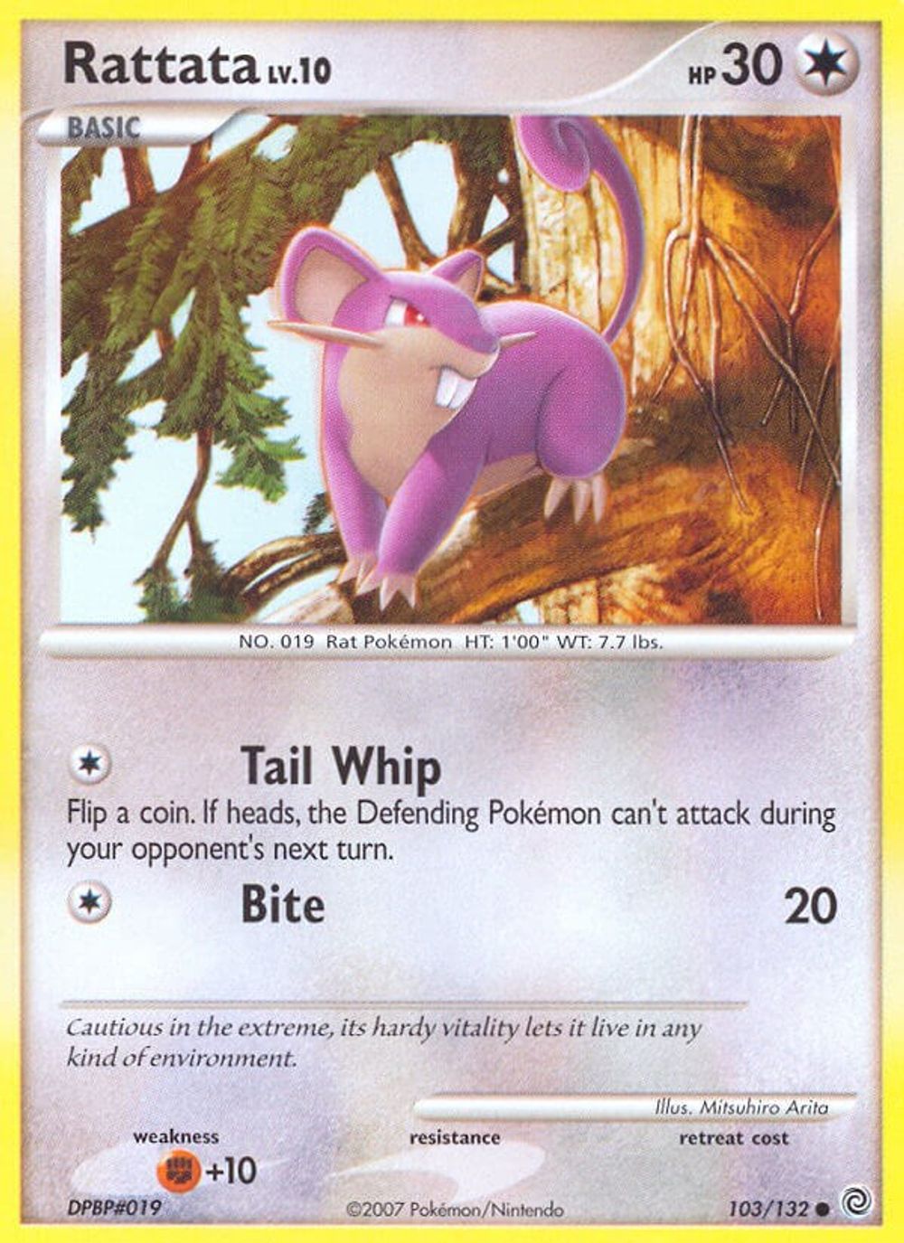 Rattata — Secret Wonders