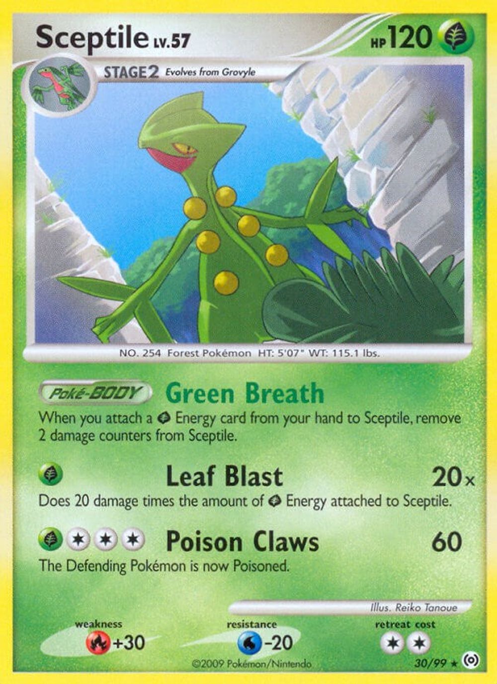 Sceptile (30) — Arceus